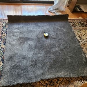 Stainmaster grey carpet